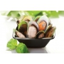 Half Shell Green Mussel 半壳青边蚝