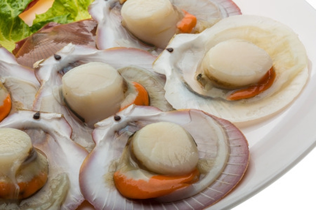 Half Shell Scallop 半壳扇贝