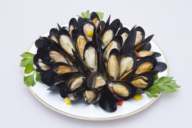 Shell Black Mussel