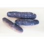 Dried Sea Cucumber