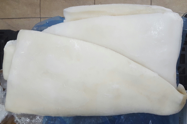 Giant Squid Fillet