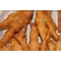 Fried Chicken Feet 鸡脚