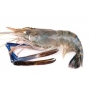 Fresh Water Prawn - HOSO