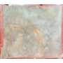 Mantis Prawn Meat 虾菇肉