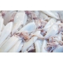 Whole Cleaned Squid / Sotong